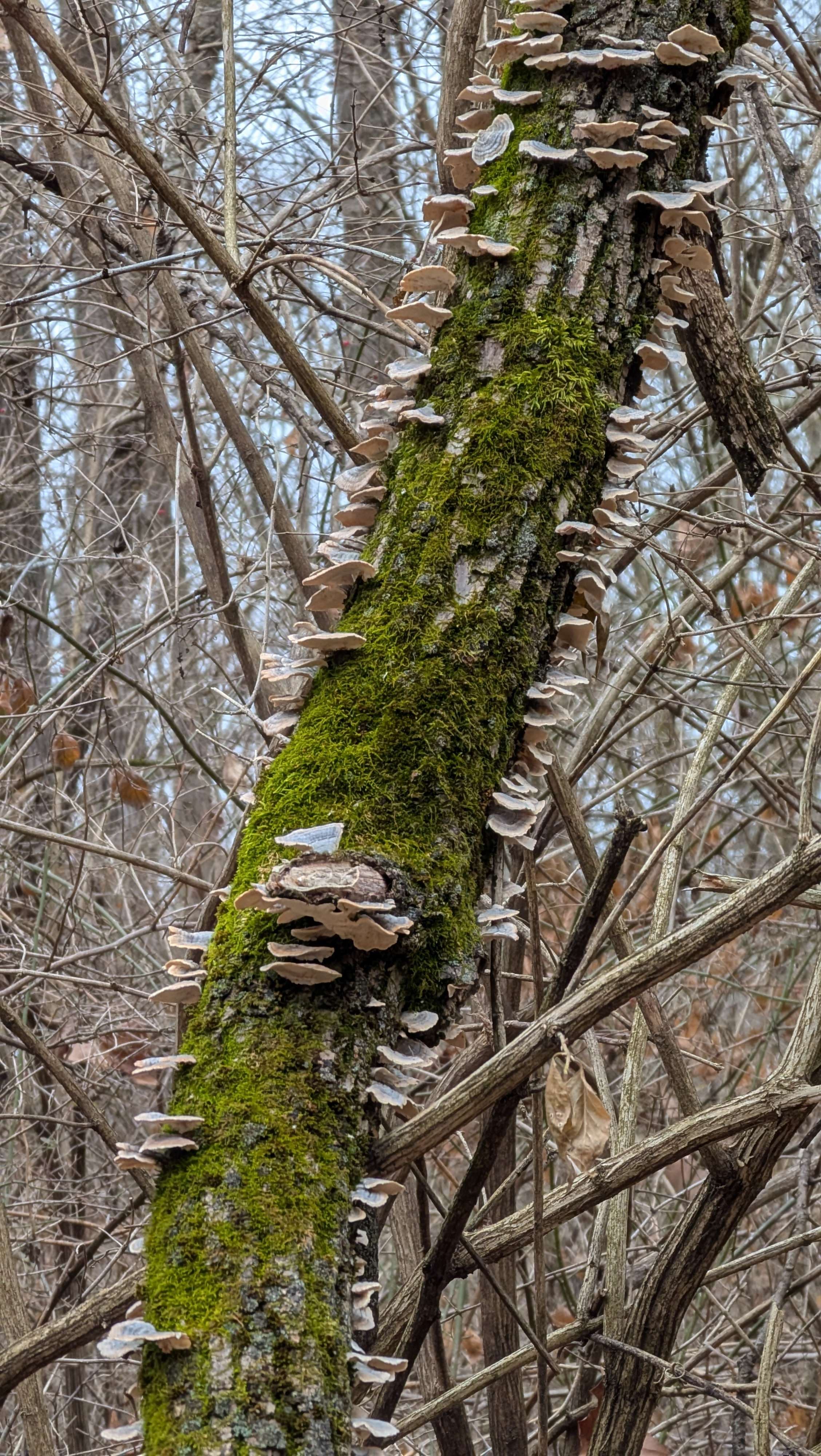 Beaver Creek Wetlands Loop