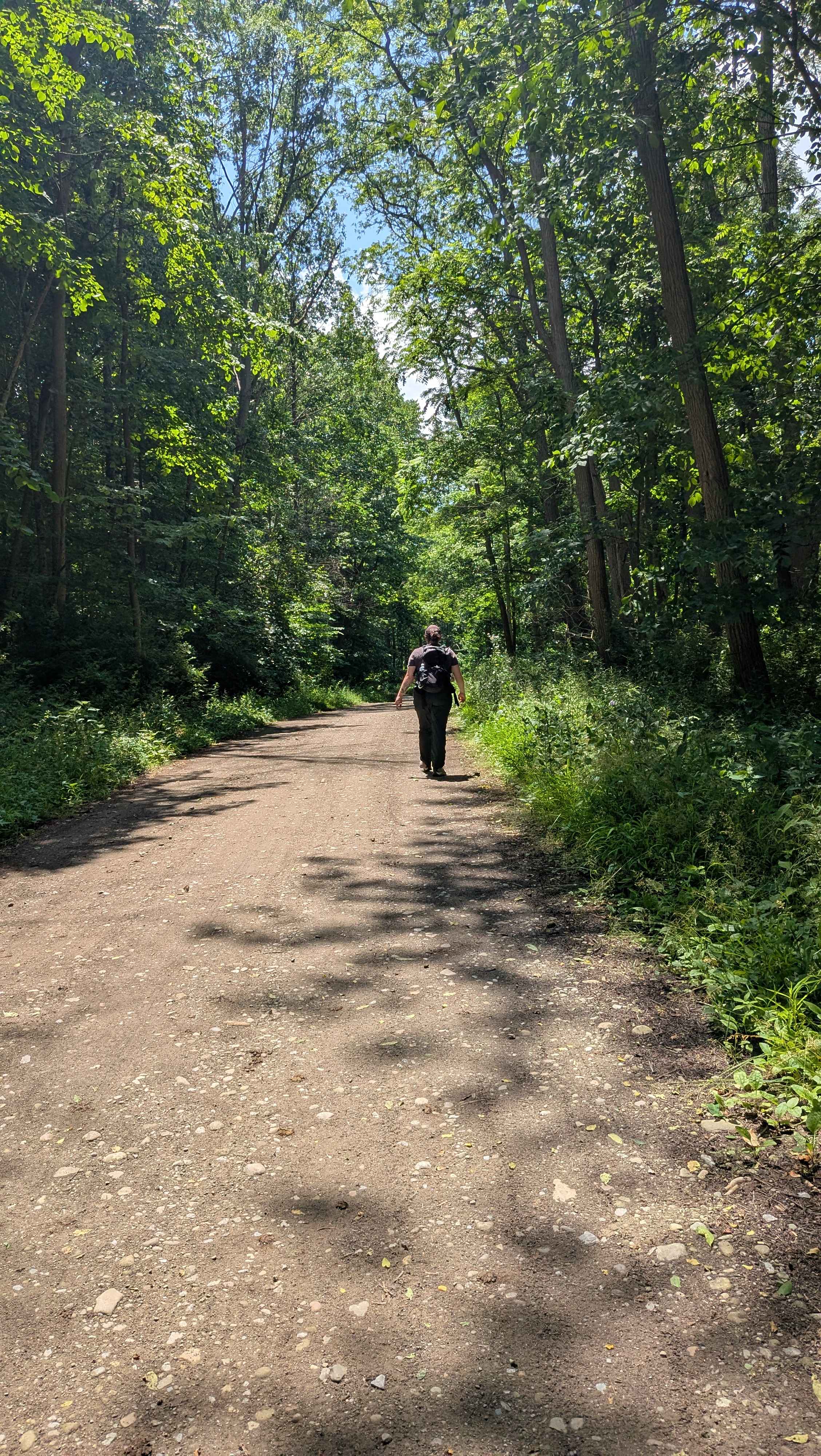 New York vacation with Emily Reynolds Day 2 Letchworth State Park Trail #10